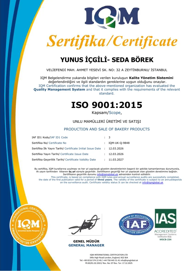 ISO 9001